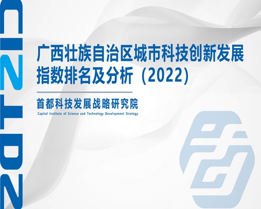 基巴好大想要【成果发布】广西壮族自治区城市科技创新发展指数排名及分析（2022）